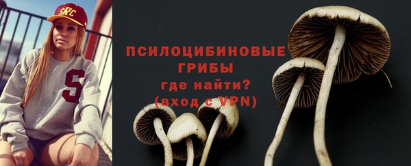 mdpv Белокуриха