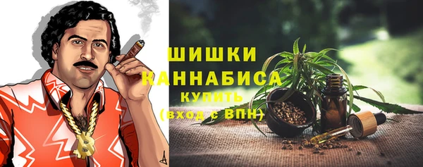 mdpv Белокуриха