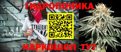 меф Краснознаменск
