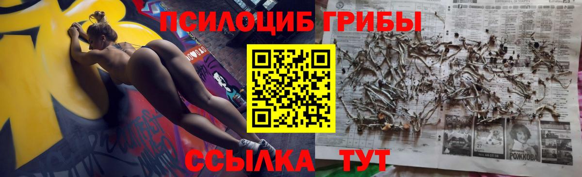 Галлюциногенные грибы прущие грибы  Вход с VPN  купить   Калуга 