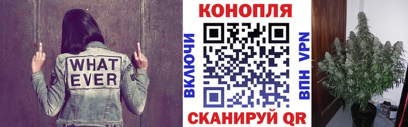 закладки  Калуга  МАРИХУАНА план 